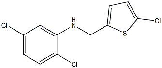 2,5-dichloro-N-[(5-chlorothiophen-2-yl)methyl]aniline Struktur
