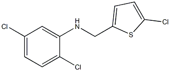 2,5-dichloro-N-[(5-chlorothiophen-2-yl)methyl]aniline