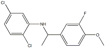 2,5-dichloro-N-[1-(3-fluoro-4-methoxyphenyl)ethyl]aniline|