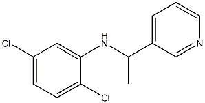 2,5-dichloro-N-[1-(pyridin-3-yl)ethyl]aniline