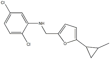 2,5-dichloro-N-{[5-(2-methylcyclopropyl)furan-2-yl]methyl}aniline Structure