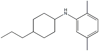 2,5-dimethyl-N-(4-propylcyclohexyl)aniline 结构式