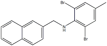 2,6-dibromo-4-methyl-N-(naphthalen-2-ylmethyl)aniline,,结构式