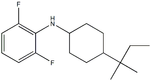 2,6-difluoro-N-[4-(2-methylbutan-2-yl)cyclohexyl]aniline Structure