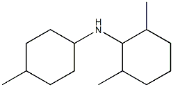 2,6-dimethyl-N-(4-methylcyclohexyl)cyclohexan-1-amine