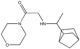 2-[(1-{bicyclo[2.2.1]heptan-2-yl}ethyl)amino]-1-(morpholin-4-yl)ethan-1-one