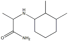 2-[(2,3-dimethylcyclohexyl)amino]propanamide 结构式
