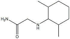 2-[(2,6-dimethylcyclohexyl)amino]acetamide|
