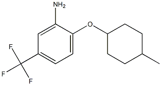 2-[(4-methylcyclohexyl)oxy]-5-(trifluoromethyl)aniline Structure