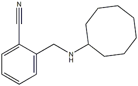 2-[(cyclooctylamino)methyl]benzonitrile,,结构式