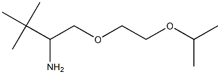 2-[2-(2-amino-3,3-dimethylbutoxy)ethoxy]propane