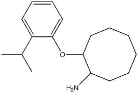 2-[2-(propan-2-yl)phenoxy]cyclooctan-1-amine|