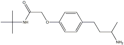 2-[4-(3-aminobutyl)phenoxy]-N-(tert-butyl)acetamide|