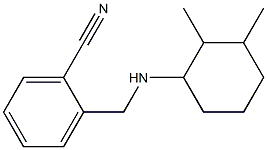 2-{[(2,3-dimethylcyclohexyl)amino]methyl}benzonitrile|
