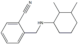 2-{[(2,3-dimethylcyclohexyl)amino]methyl}benzonitrile 结构式