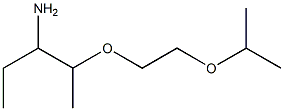 2-{2-[(3-aminopentan-2-yl)oxy]ethoxy}propane