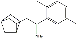 2-{bicyclo[2.2.1]heptan-2-yl}-1-(2,5-dimethylphenyl)ethan-1-amine,,结构式