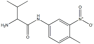 2-amino-3-methyl-N-(4-methyl-3-nitrophenyl)butanamide Structure