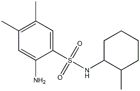 2-amino-4,5-dimethyl-N-(2-methylcyclohexyl)benzene-1-sulfonamide