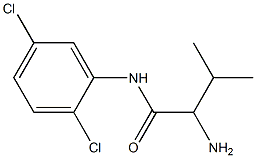 2-amino-N-(2,5-dichlorophenyl)-3-methylbutanamide Struktur