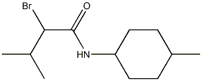 2-bromo-3-methyl-N-(4-methylcyclohexyl)butanamide Structure