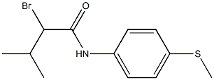 2-bromo-3-methyl-N-[4-(methylsulfanyl)phenyl]butanamide Structure