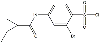 2-bromo-4-[(2-methylcyclopropane)amido]benzene-1-sulfonyl chloride 结构式