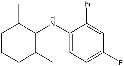 2-bromo-N-(2,6-dimethylcyclohexyl)-4-fluoroaniline