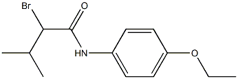 2-bromo-N-(4-ethoxyphenyl)-3-methylbutanamide Structure
