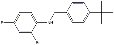 2-bromo-N-[(4-tert-butylphenyl)methyl]-4-fluoroaniline,,结构式