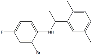2-bromo-N-[1-(2,5-dimethylphenyl)ethyl]-4-fluoroaniline 化学構造式