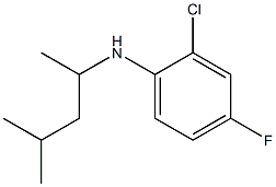  2-chloro-4-fluoro-N-(4-methylpentan-2-yl)aniline