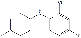  2-chloro-4-fluoro-N-(5-methylhexan-2-yl)aniline