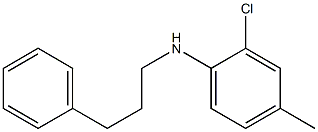 2-chloro-4-methyl-N-(3-phenylpropyl)aniline Structure