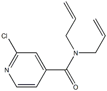 2-chloro-N,N-bis(prop-2-en-1-yl)pyridine-4-carboxamide 化学構造式