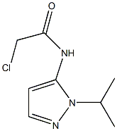 2-chloro-N-[1-(propan-2-yl)-1H-pyrazol-5-yl]acetamide Structure