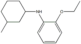 2-ethoxy-N-(3-methylcyclohexyl)aniline 化学構造式