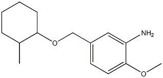 2-methoxy-5-{[(2-methylcyclohexyl)oxy]methyl}aniline Struktur