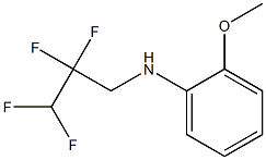 2-methoxy-N-(2,2,3,3-tetrafluoropropyl)aniline 化学構造式
