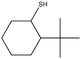 2-tert-butylcyclohexane-1-thiol 化学構造式