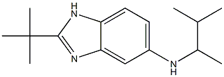 2-tert-butyl-N-(3-methylbutan-2-yl)-1H-1,3-benzodiazol-5-amine Structure