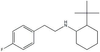 2-tert-butyl-N-[2-(4-fluorophenyl)ethyl]cyclohexan-1-amine Structure