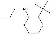 2-tert-butyl-N-propylcyclohexan-1-amine 化学構造式