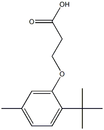 3-(2-tert-butyl-5-methylphenoxy)propanoic acid 化学構造式