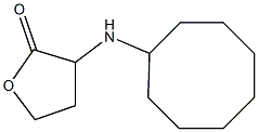 3-(cyclooctylamino)oxolan-2-one 结构式