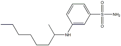 3-(octan-2-ylamino)benzene-1-sulfonamide Struktur