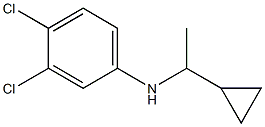 3,4-dichloro-N-(1-cyclopropylethyl)aniline|