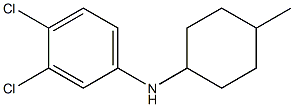 3,4-dichloro-N-(4-methylcyclohexyl)aniline 化学構造式