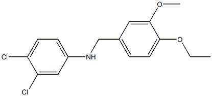 3,4-dichloro-N-[(4-ethoxy-3-methoxyphenyl)methyl]aniline Structure