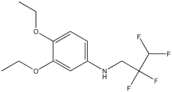 3,4-diethoxy-N-(2,2,3,3-tetrafluoropropyl)aniline,,结构式